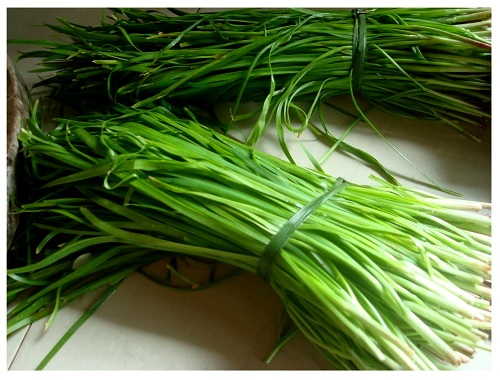 China Hunan Farmhouse Fresh Chives.