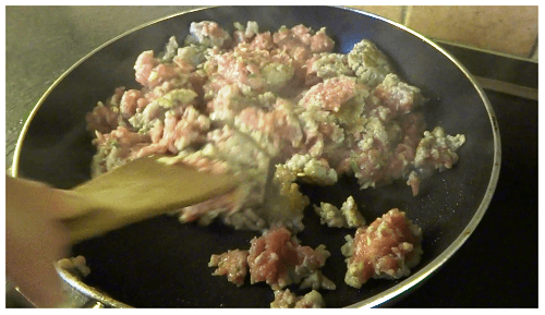 Chinese Dumpling Filling Fry.