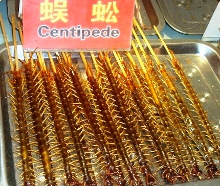Chinese Food Fried Centipede.