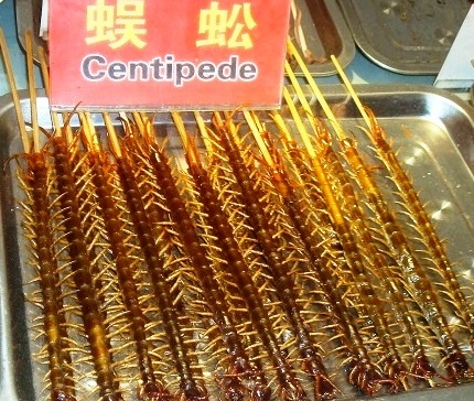 chinese-food-fried-centipede.jpg