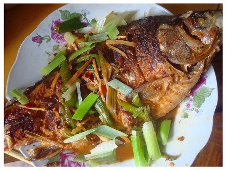 Chinese Red Cooked Carp