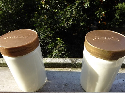 Containers to make yogurt.