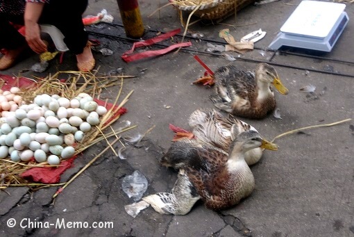 China Local Street Market Ducks Eggs