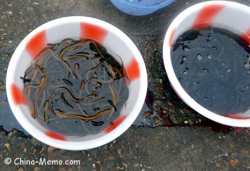 China Local Street Market Eels