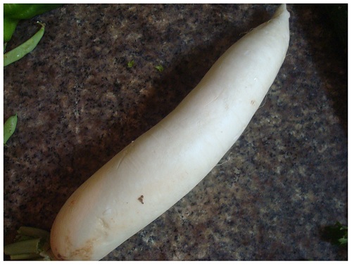 Chinese White Radish