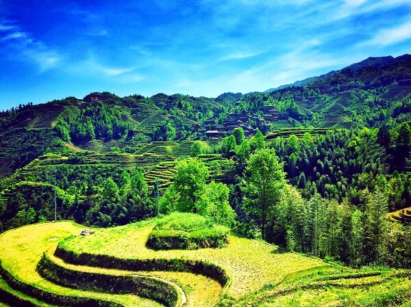 Guangxi Guilin Dragon Backbone's Rice Terraces