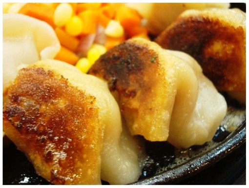 China Hunan Iron Plate Dumpling (close).