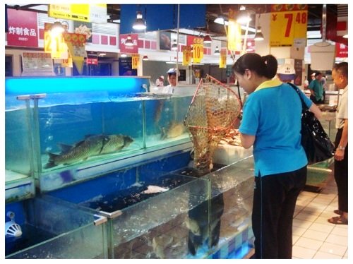 China Food Supermarket Fresh Fishes.