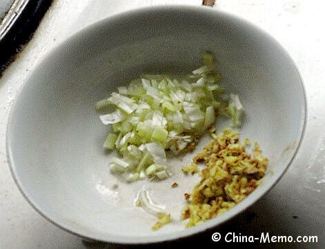 Chinese Ingredients Chopped Leek & Gingers