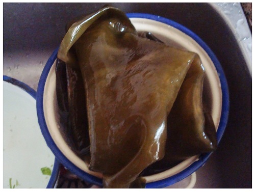 Chinese Soaked Kelp