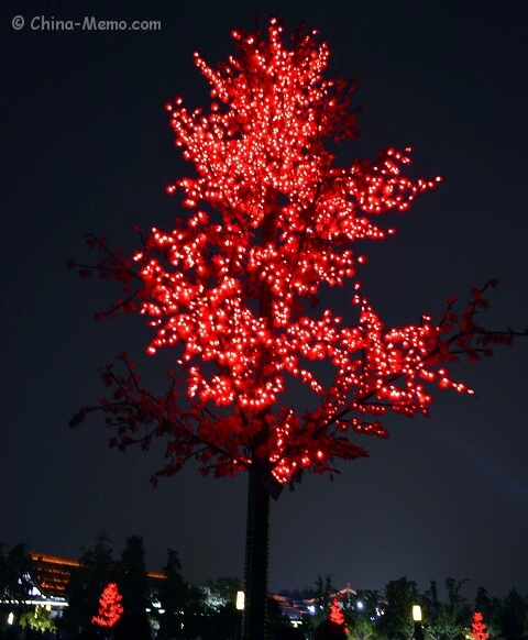 Xian Dayan Pagoda Square Tree